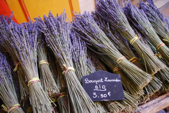 Organic lavender in Aix