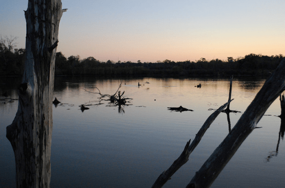Wetland near Houston, 2012